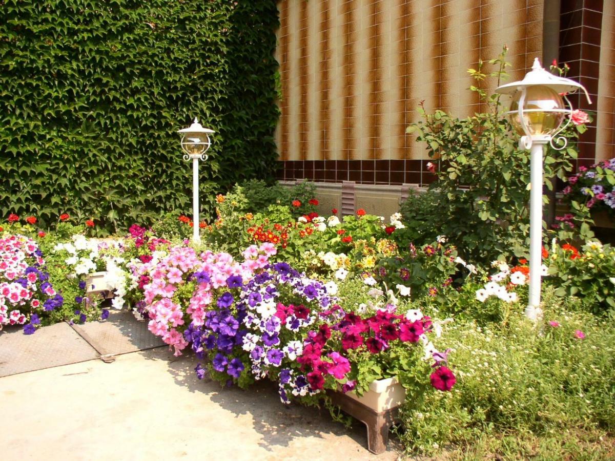Amalia Apartman Gyula Exterior foto